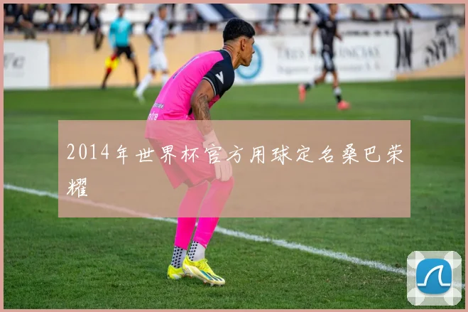 2014年世界杯官方用球定名桑巴荣耀