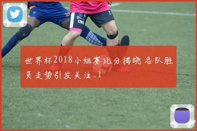 世界杯2018小组赛比分揭晓 各队胜负走势引发关注_1