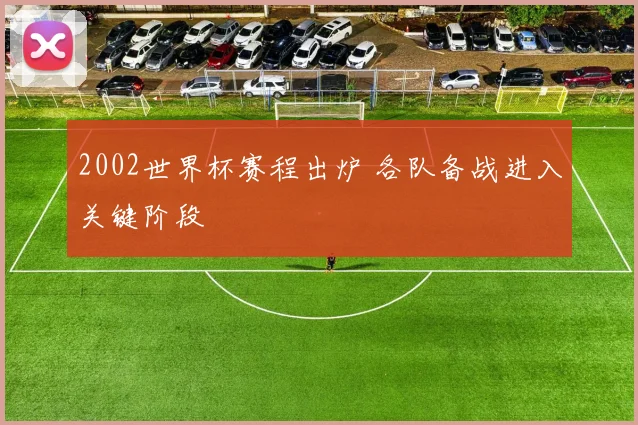 2002世界杯赛程出炉 各队备战进入关键阶段
